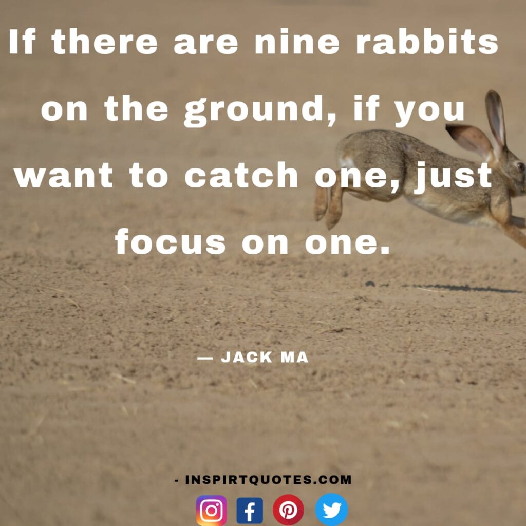  jack ma top quotes , If there are nine rabbits on the ground, if you want to catch one, just focus on one.