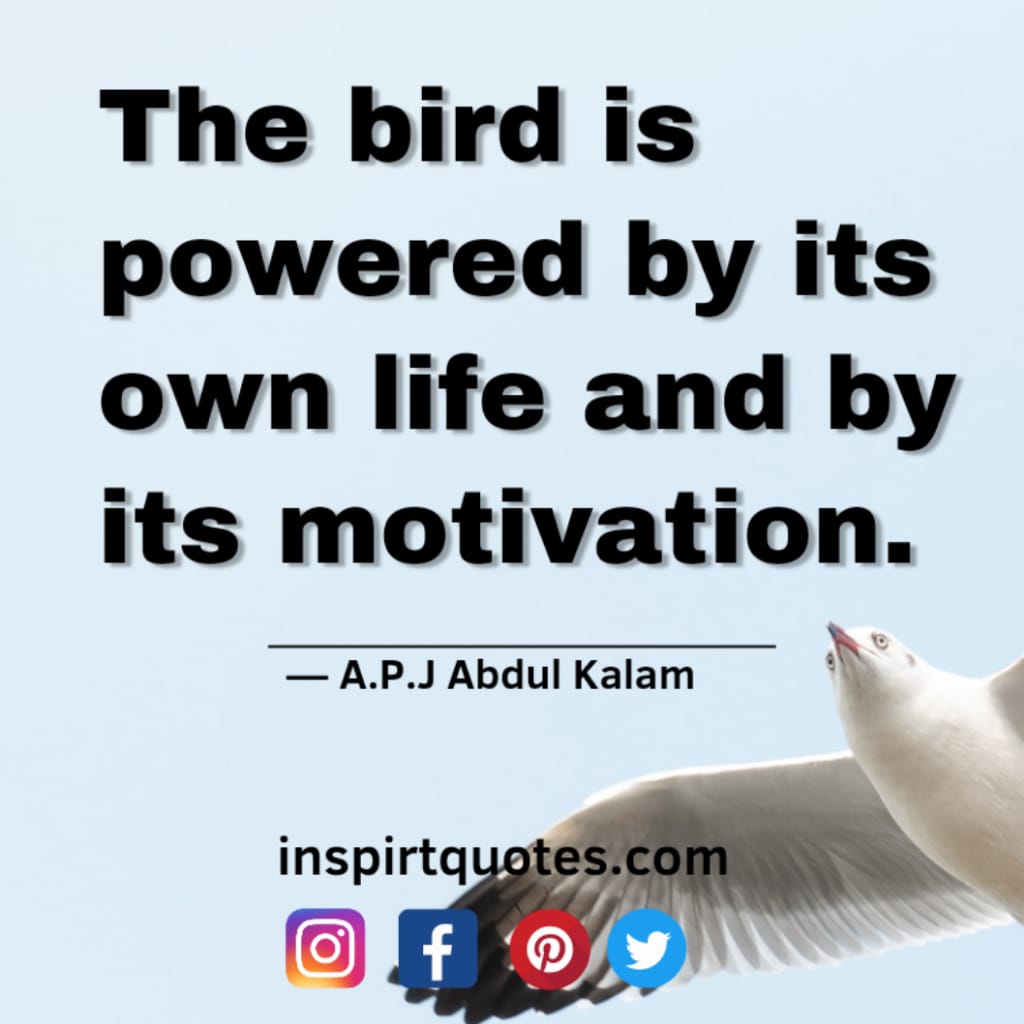 abdul kalam quotes, The bird is powered by its own life and by its motivation.