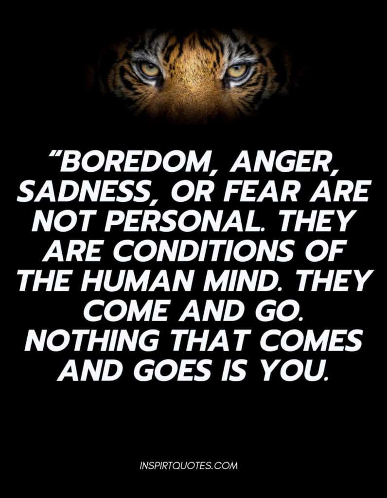 Boredom, anger, sadness, or fear are not personal. They are conditions of the human mind. They come and go. Nothing that comes and goes is you.