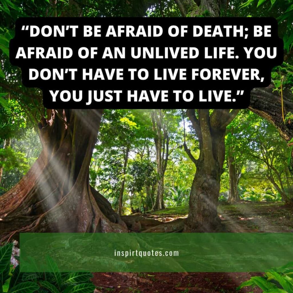 best life quotes, Don't be afraid of death; be afraid of an unlived life. You don't have to live forever, you just have to live.