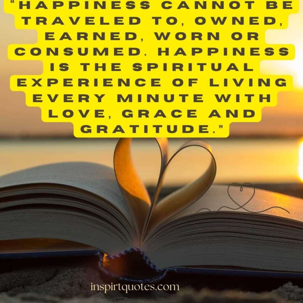 best happiness quotes, Happiness cannot be traveled to, owned, earned, worn or consumed. Happiness is the spiritual experience of living every minute with love, grace and gratitude.