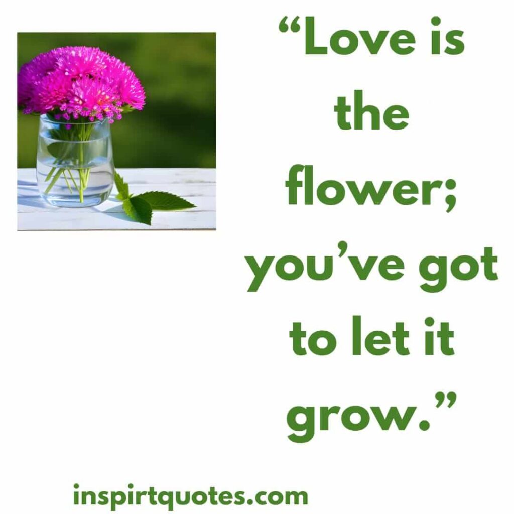 best love quotes, Love is the flower; you've got to let it grow.