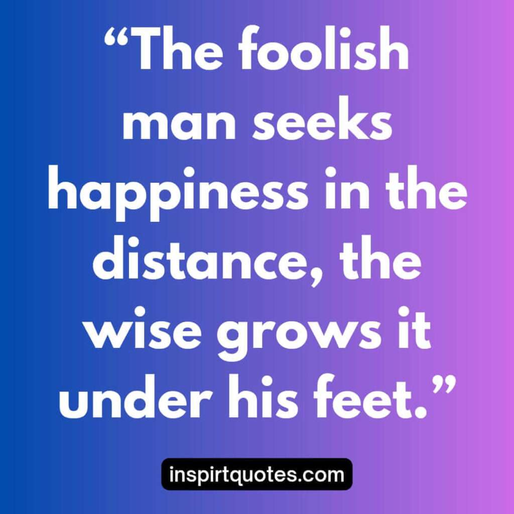 popular happiness quotes, The foolish man seeks happiness in the distance, the wise grows it under his feet.