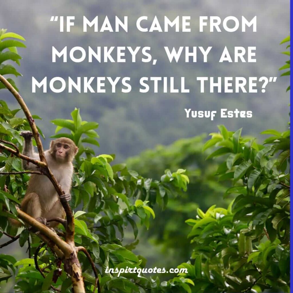 Yusuf Estes islamic quotes . If man came from monkeys, why are monkeys still there