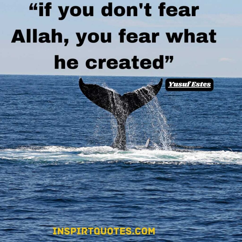 yusuf estes english quotes . If you don’t fear Allah then this proves that you fear creation.