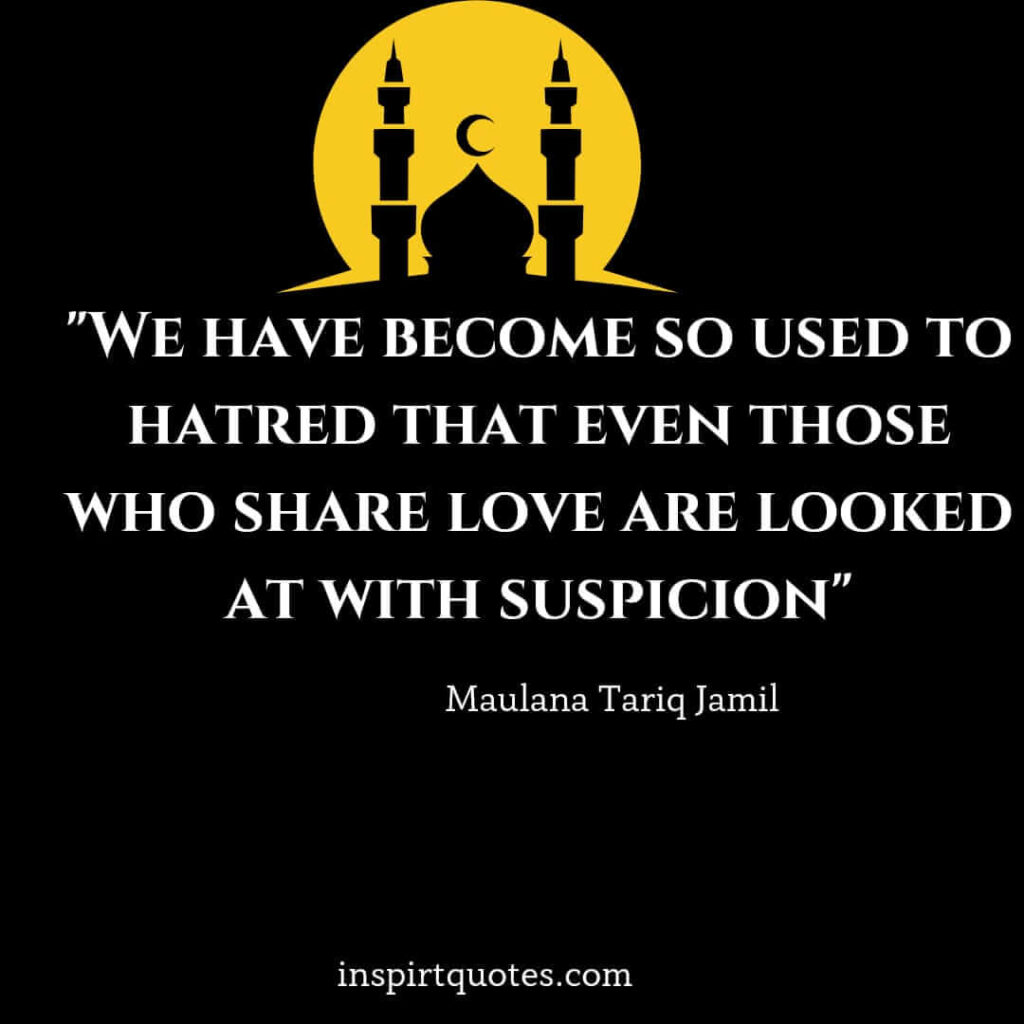 english quotes tariq jamil. We have become so used to hatred that even those who share love are looked at with suspicion.