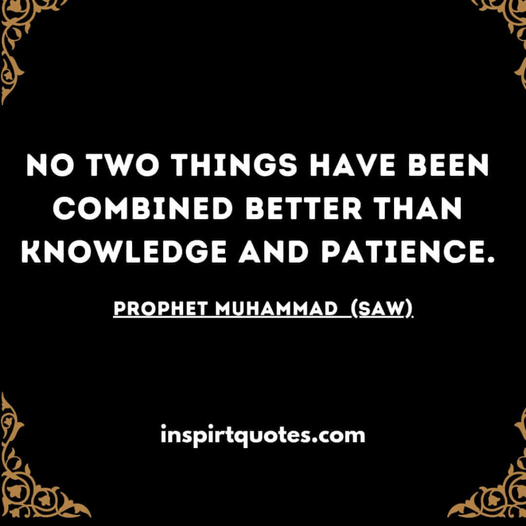 No two things have been combined better than knowledge and patience.islam