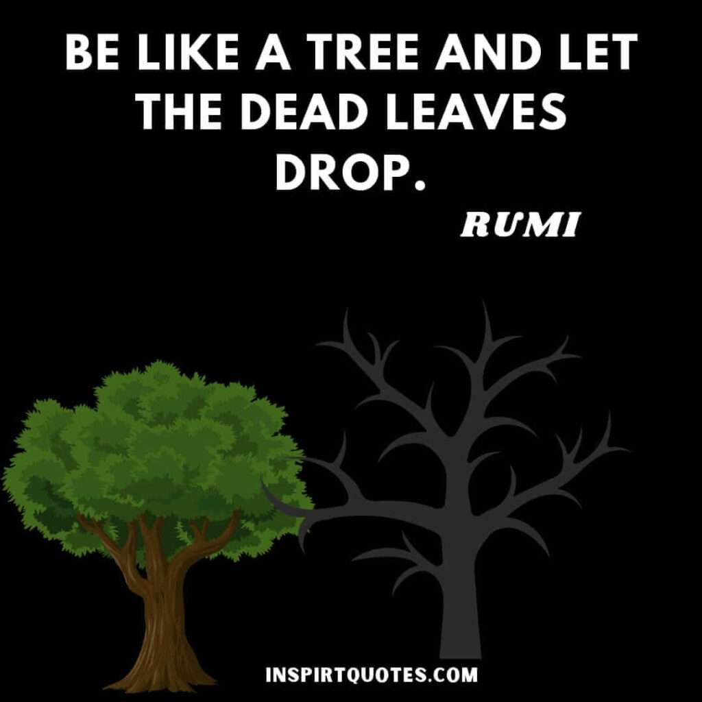Rumi quotes on path of life. Be life a tree and let the dead leaves drop.