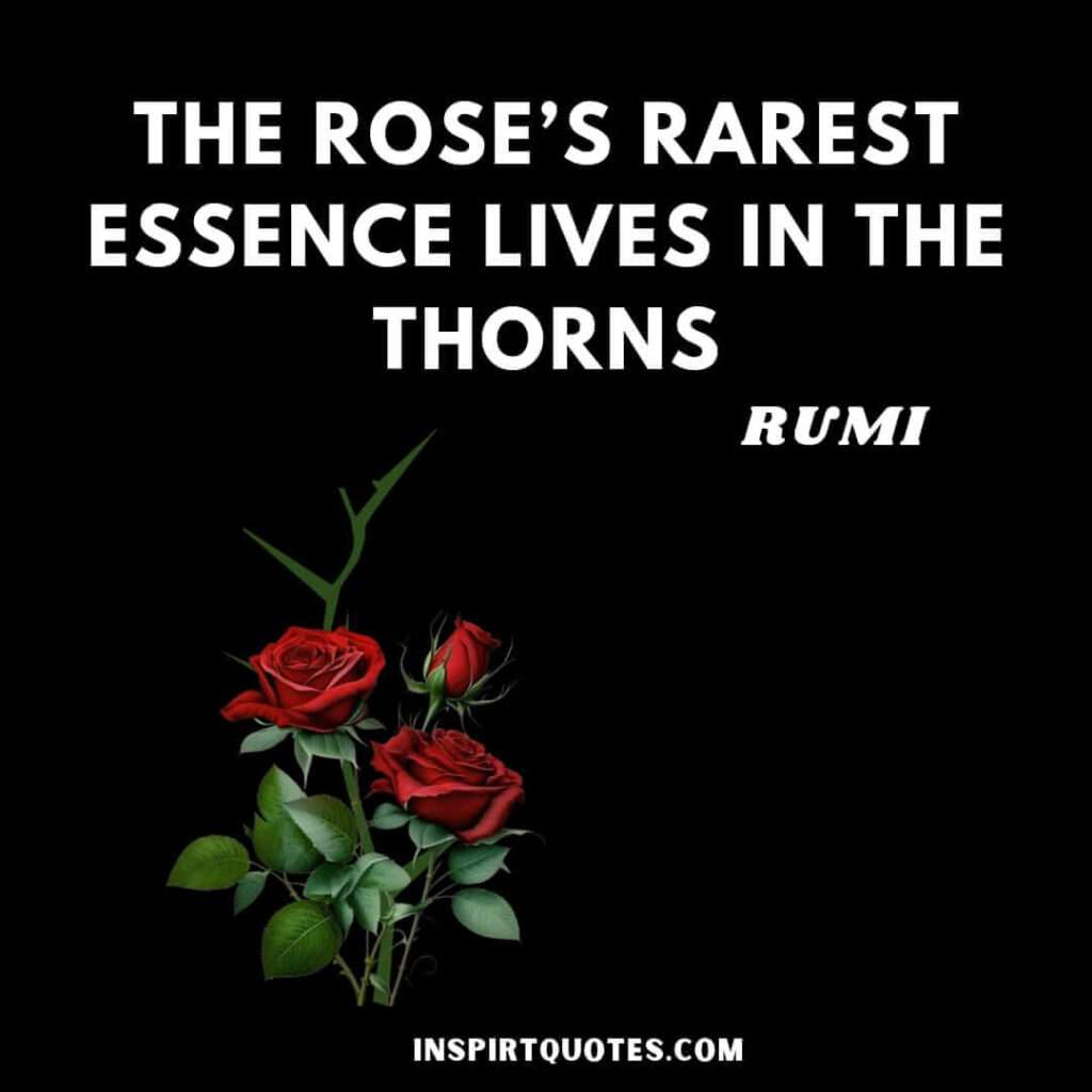 Rumi life changing quotes. The rose's rarest essence lives in the thorns.